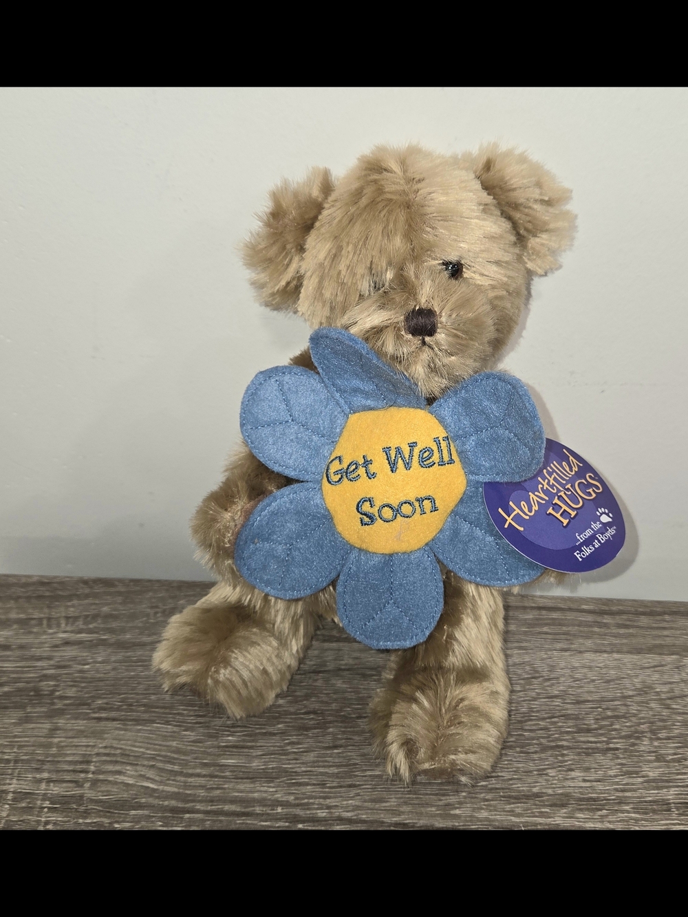 Vintage Boyde Heartfilled Hugs Bear Wellsley "Get Well Soon" 8"
